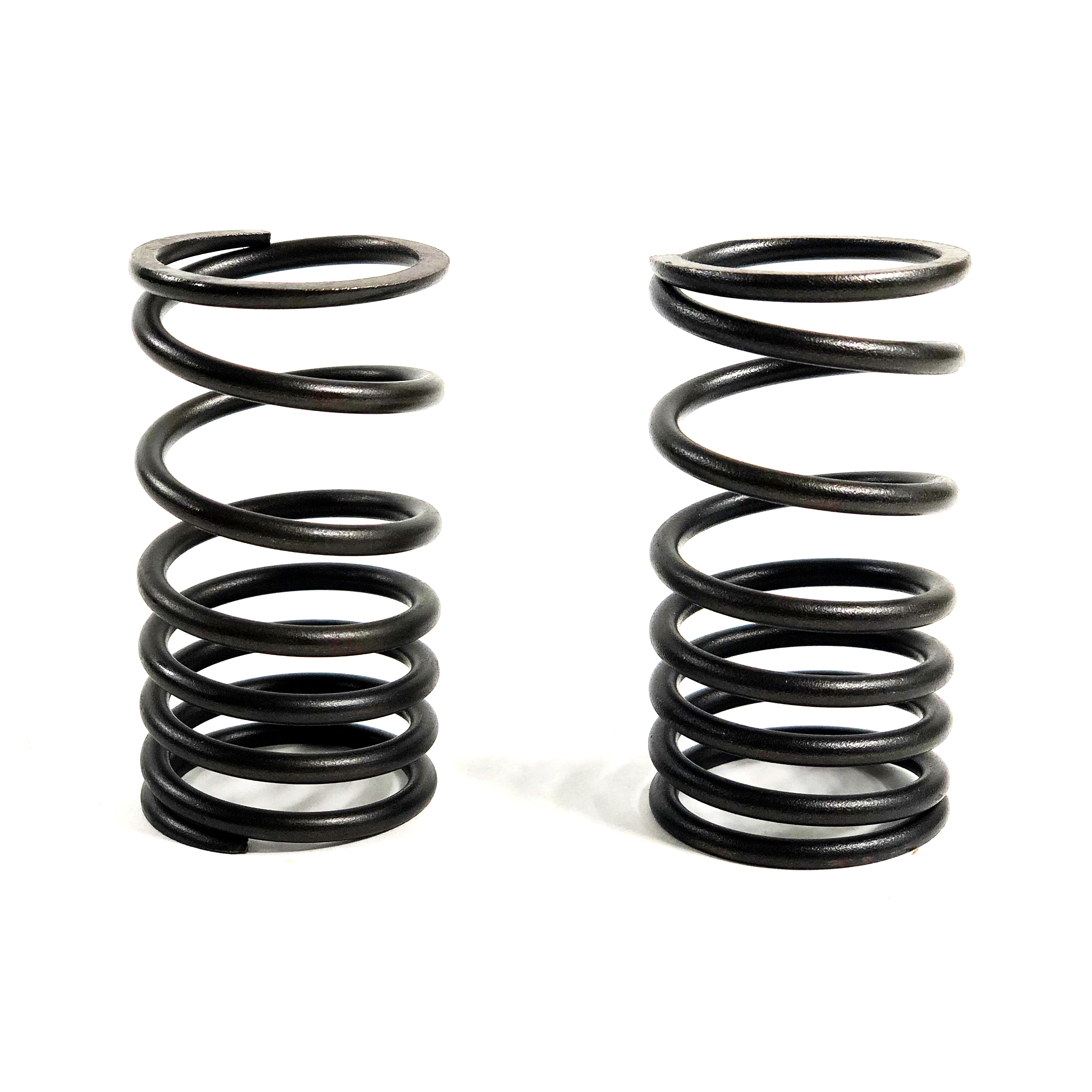 VALVE SPRING, OUTER, 3054