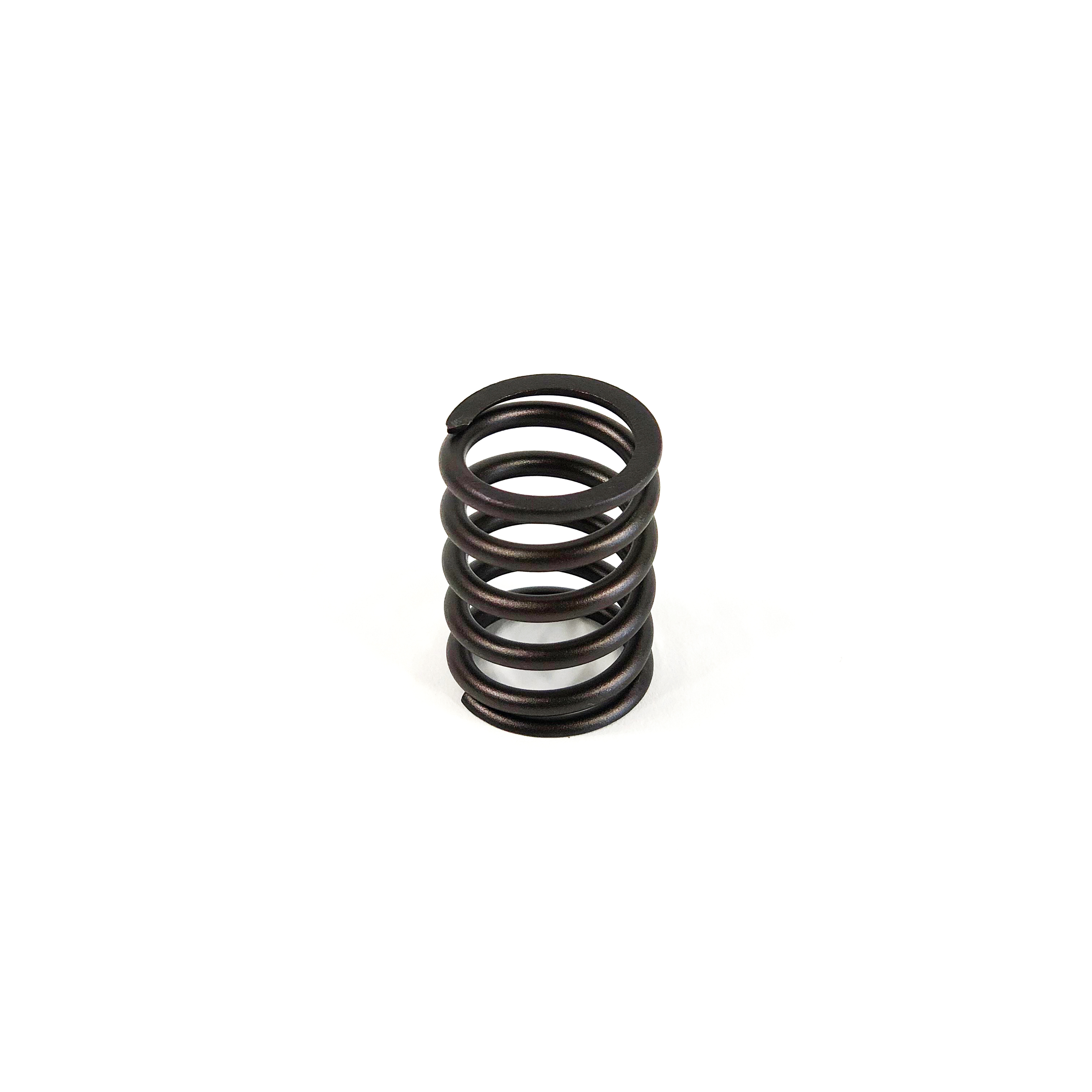 VALVE SPRING, 3034