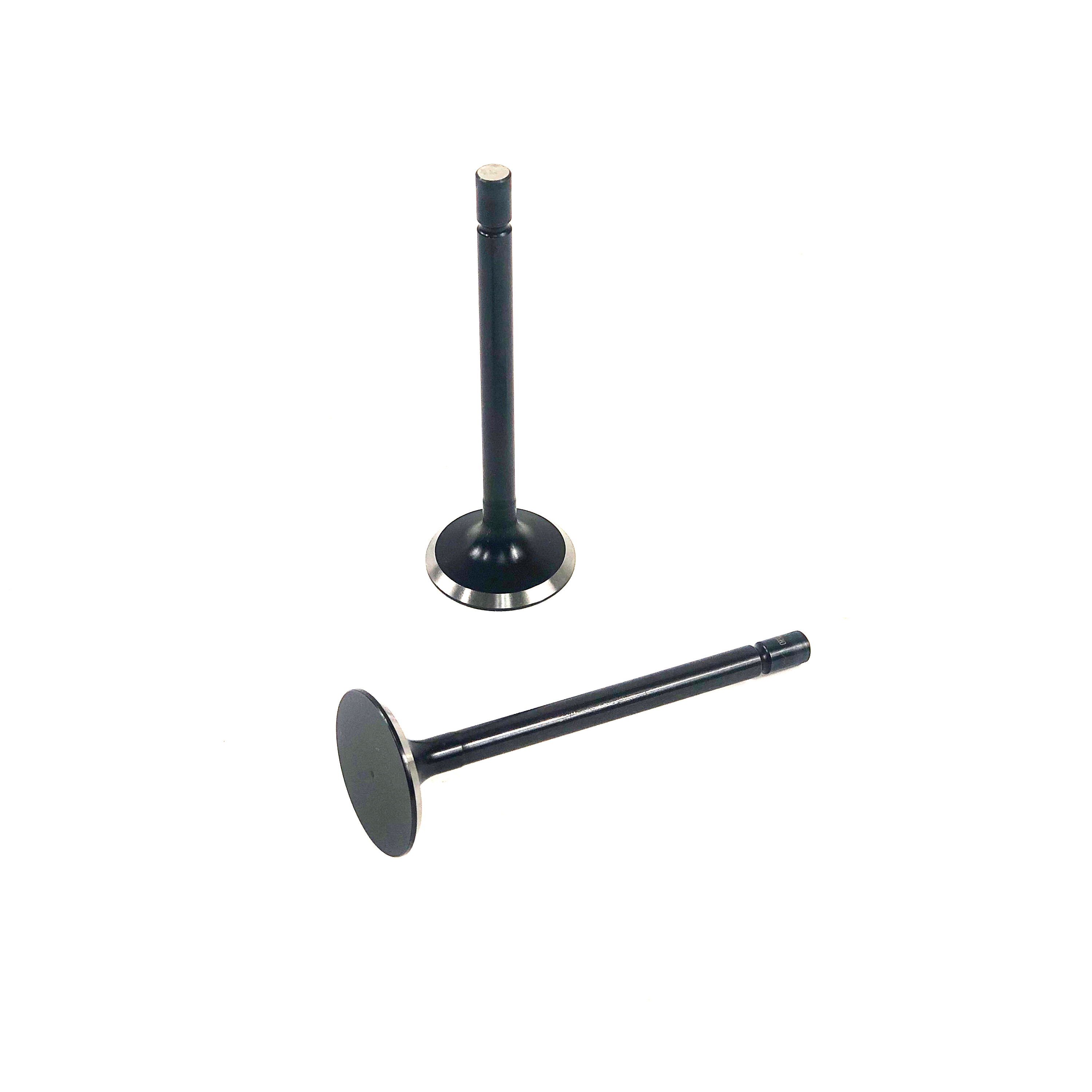 VALVE, EXHAUST, 3024