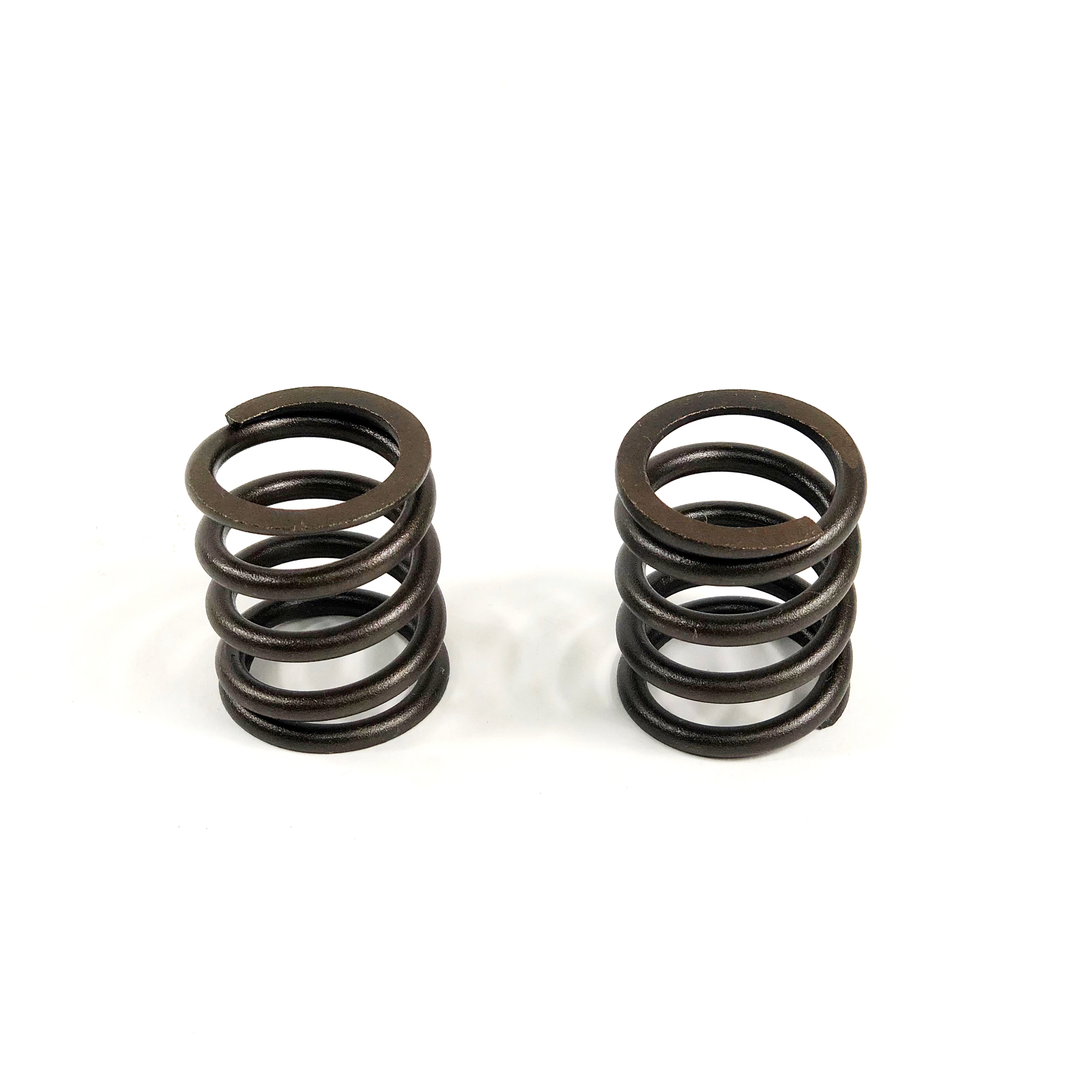 VALVE SPRING, 3054B