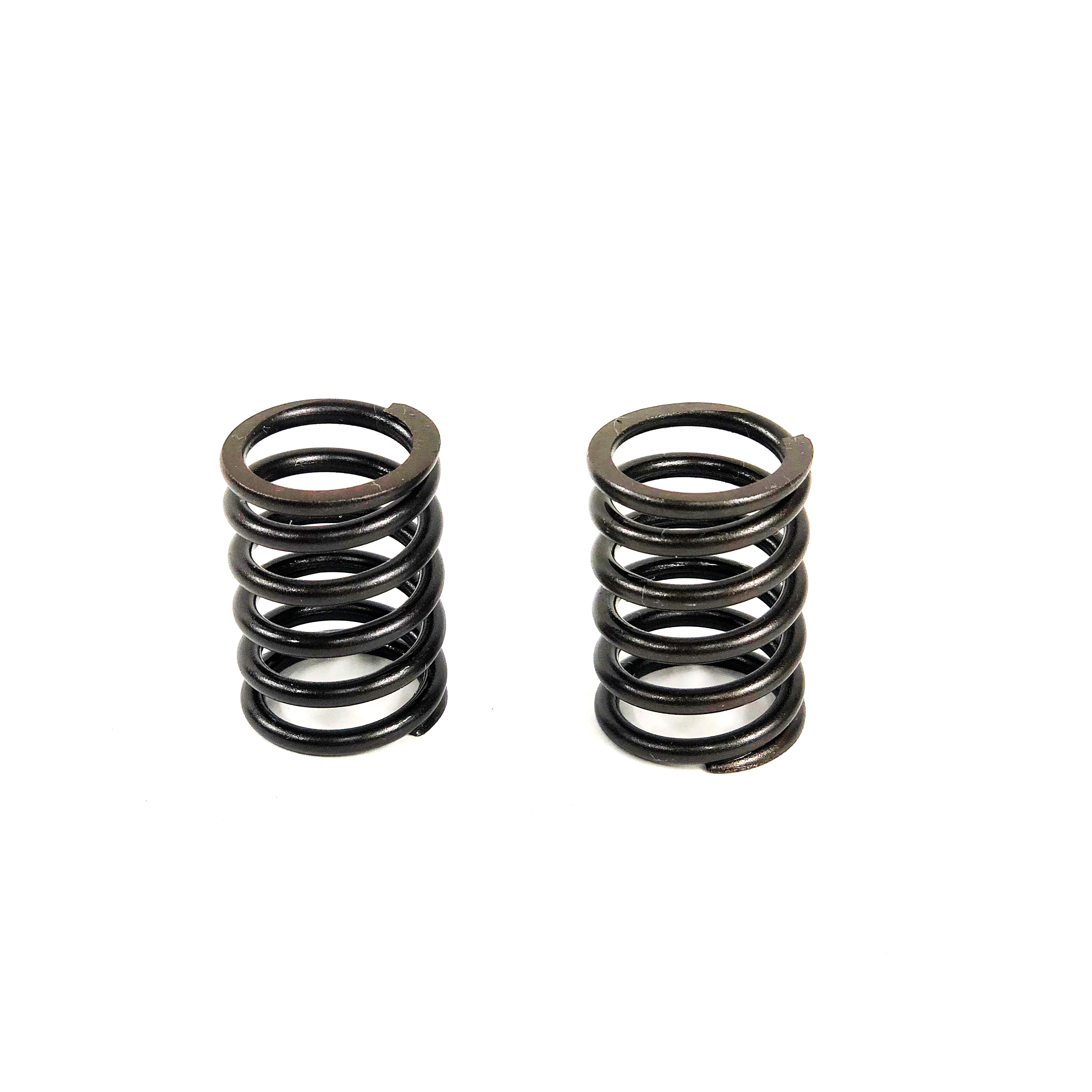 VALVE SPRING, 3013C