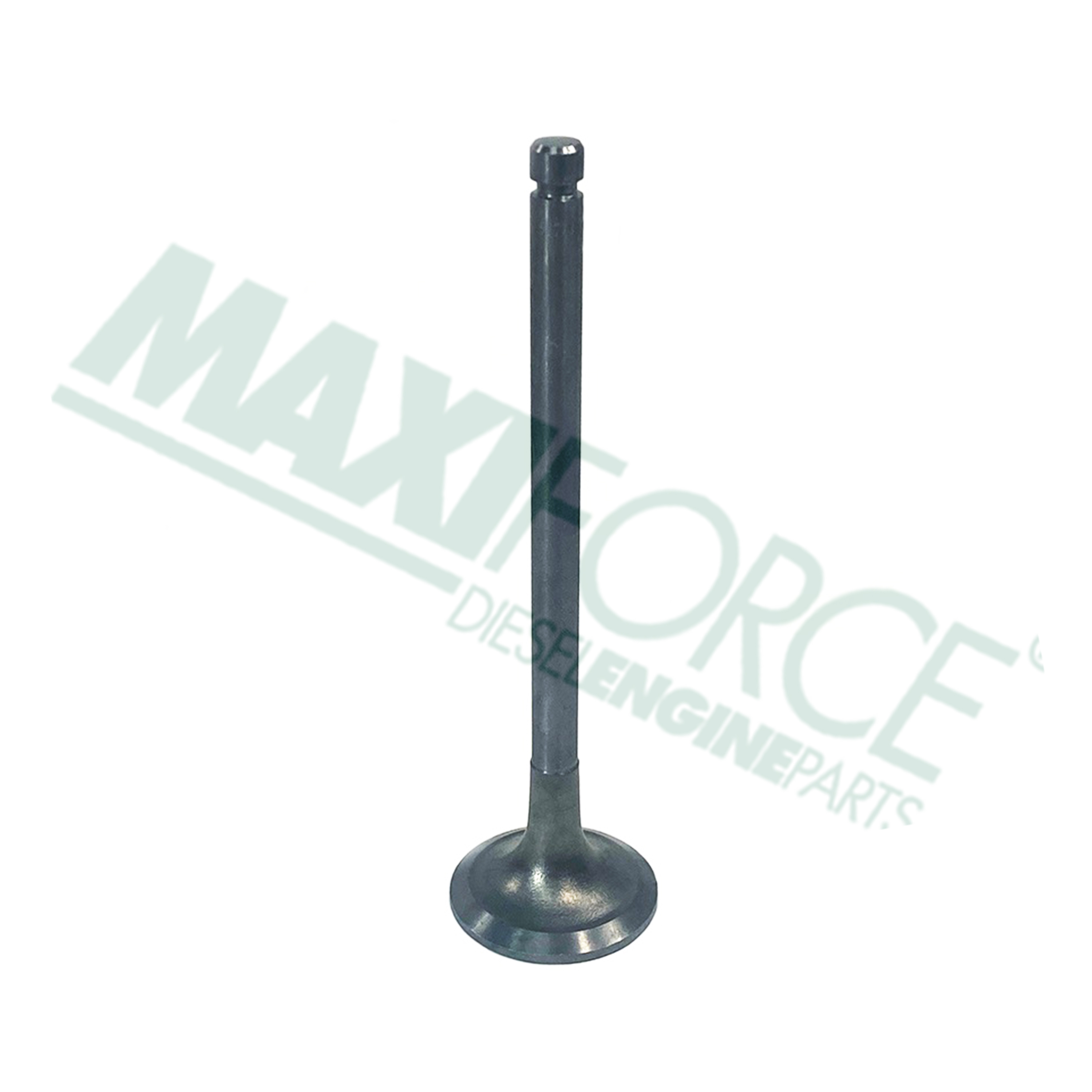 VALVE, EXHAUST 3064/3066