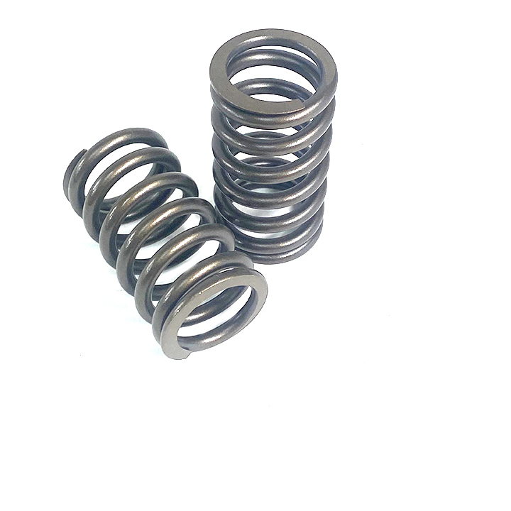 VALVE SPRING, 6C