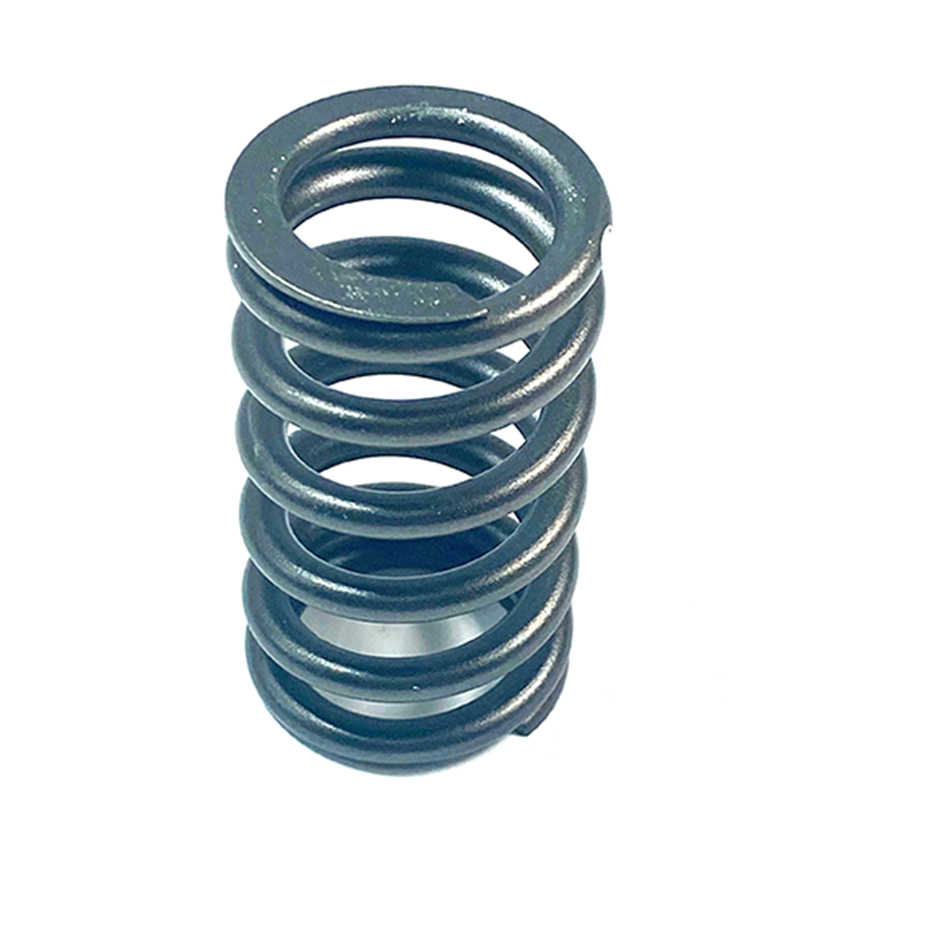 VALVE SPRING, QSC 8.3