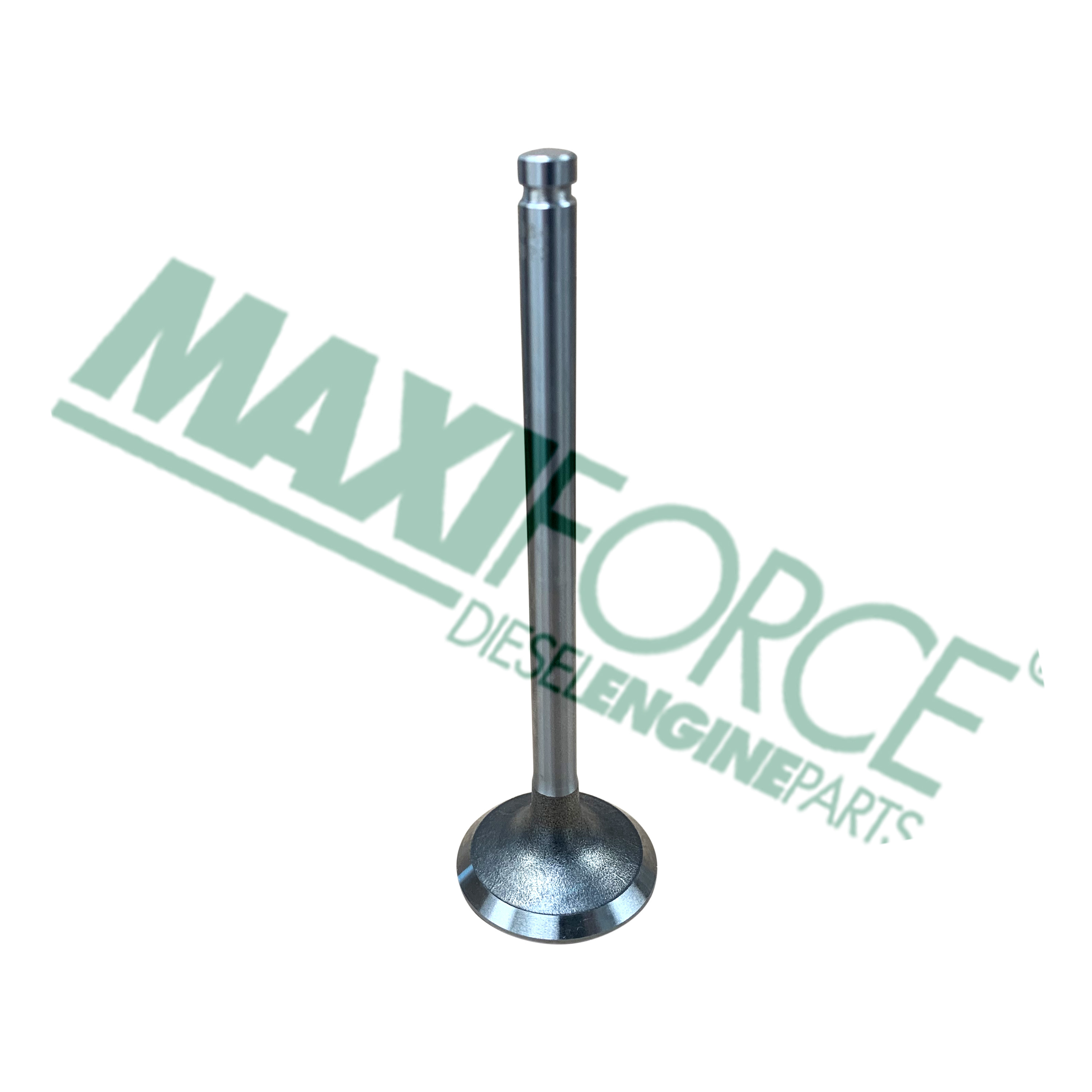 VALVE, EXHAUST, B3.3