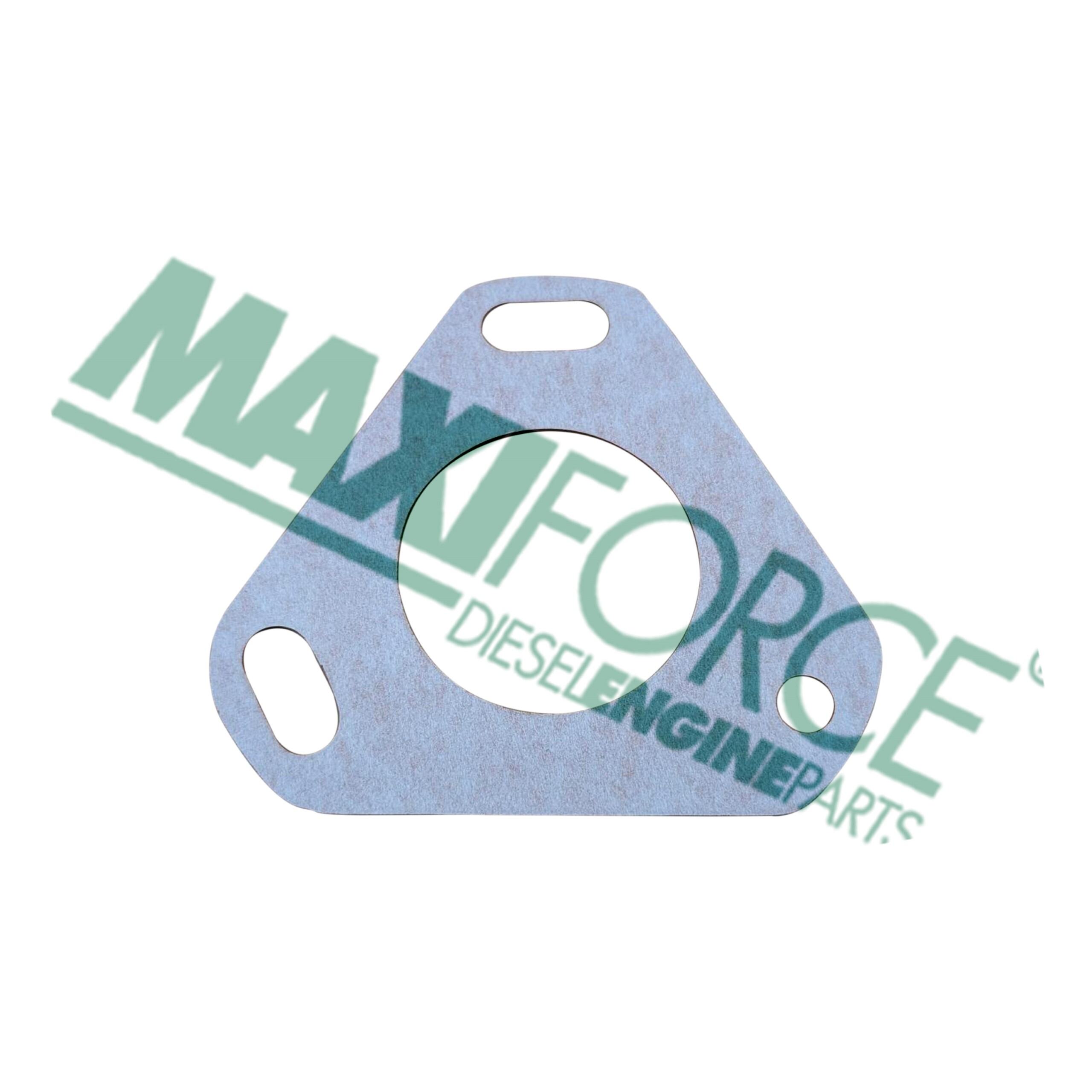 GASKET, INJECTOR PUMP, N45 & N67