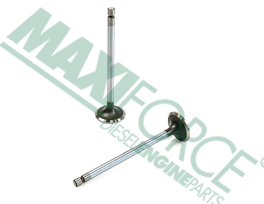 VALVE, INTAKE, SEAT 30°, N45 & N67, TIER 4
