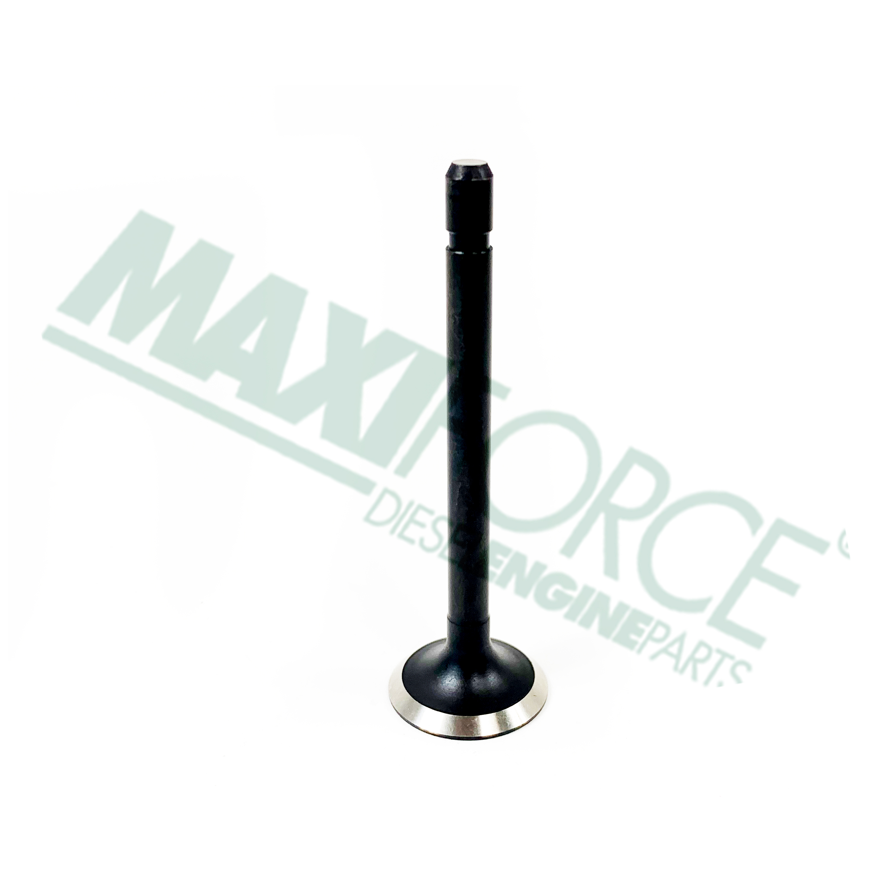 VALVE, EXHAUST, D1105 V1505