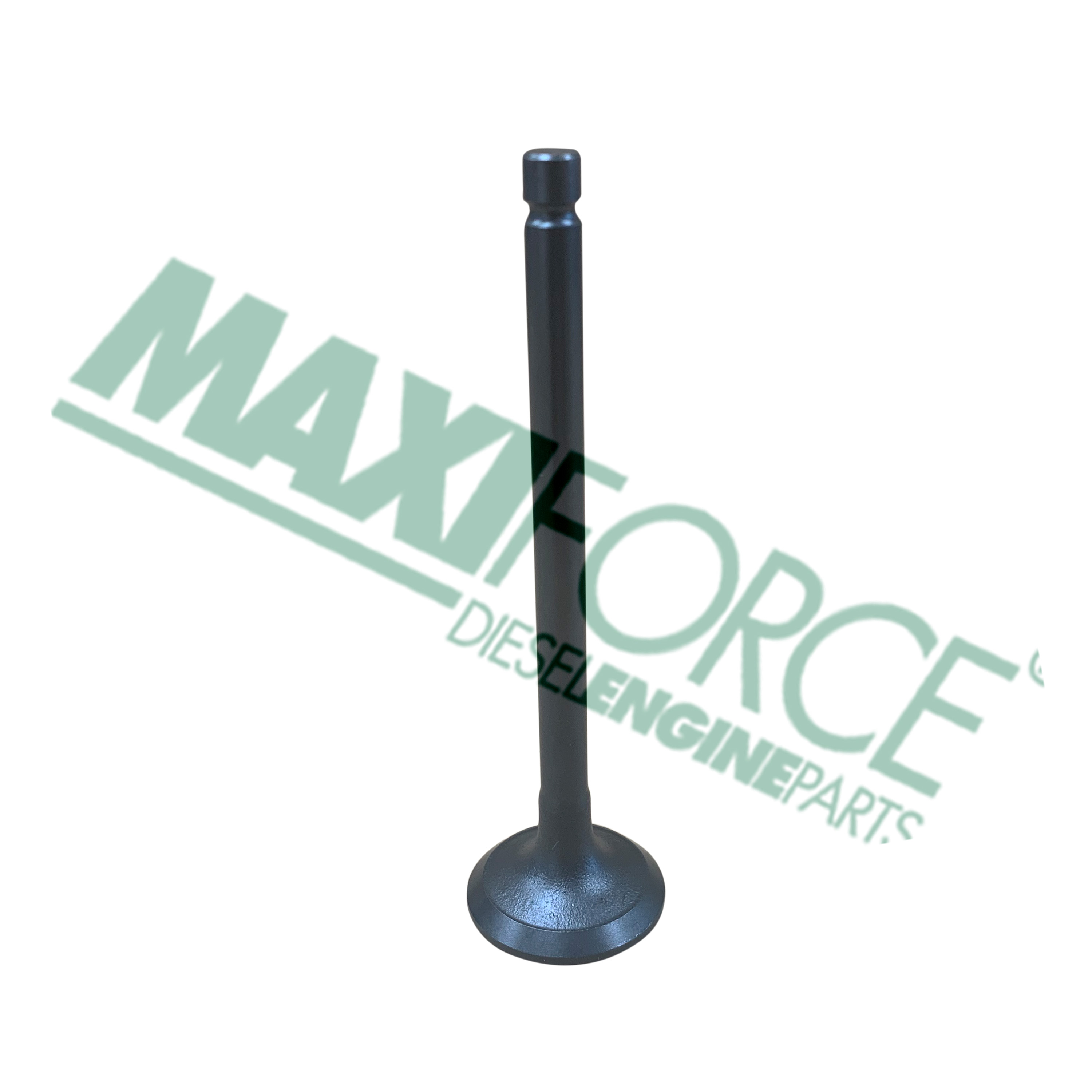 VALVE, EXHAUST, V2607
