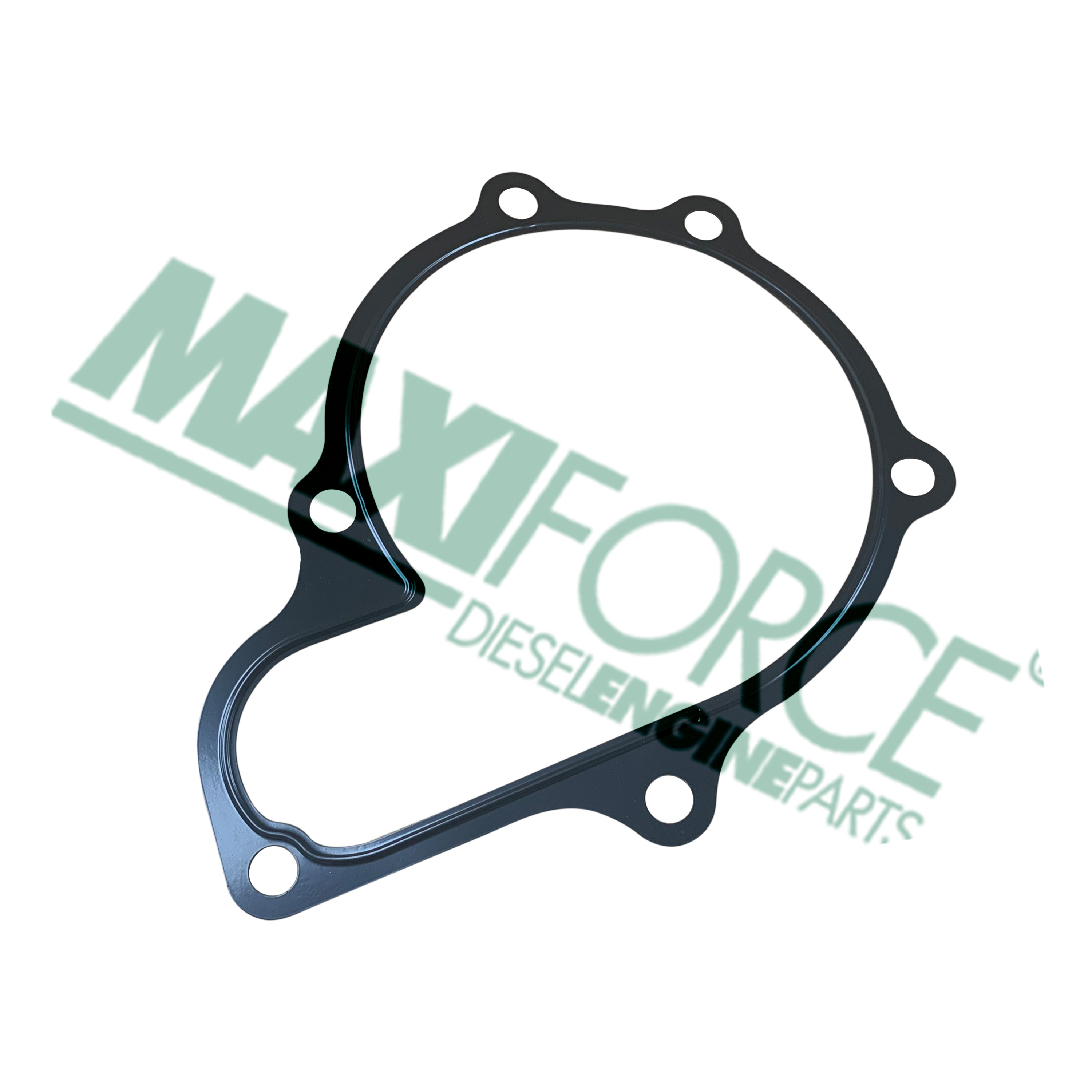 GASKET, WATER PUMP, V2607