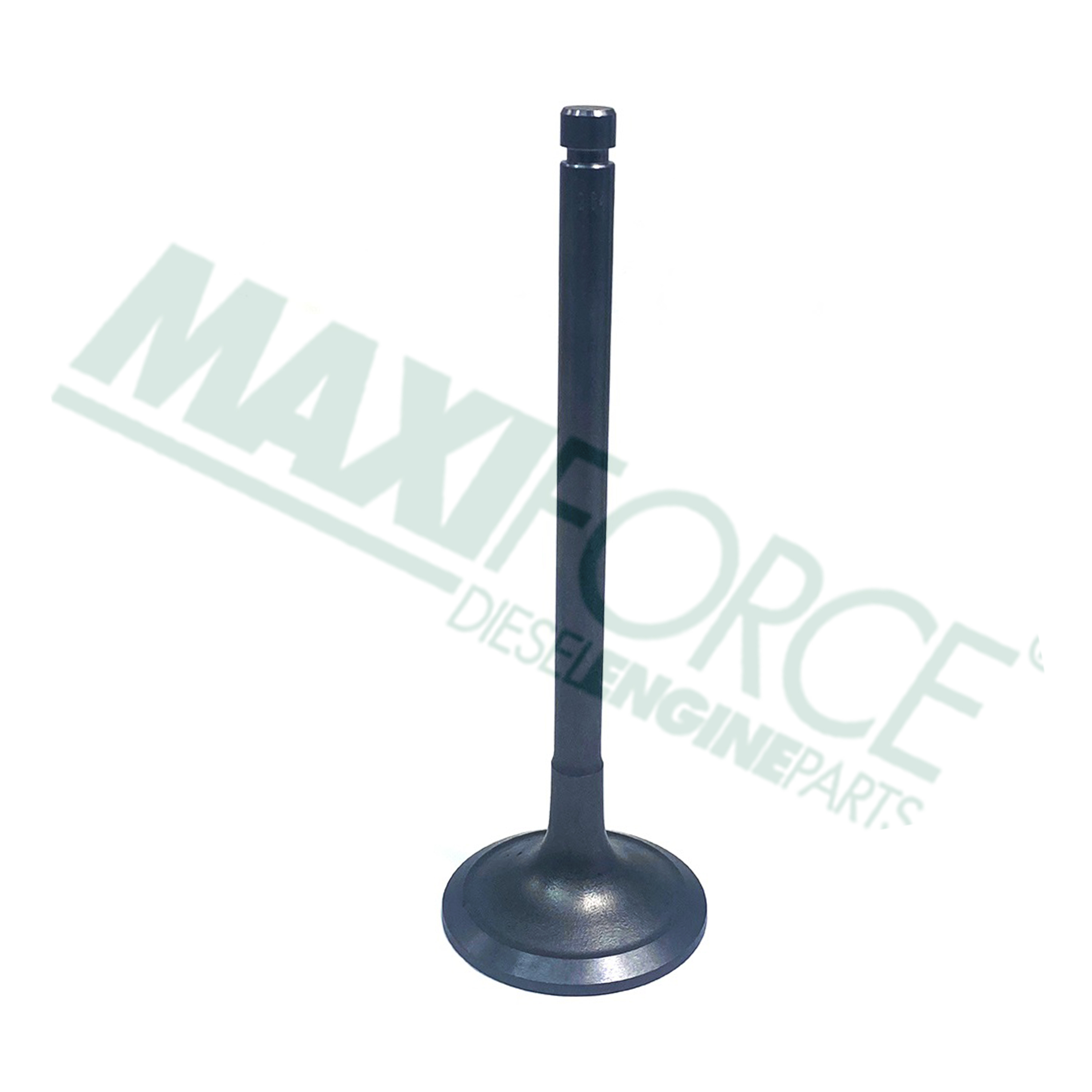 VALVE, INTAKE, S6K