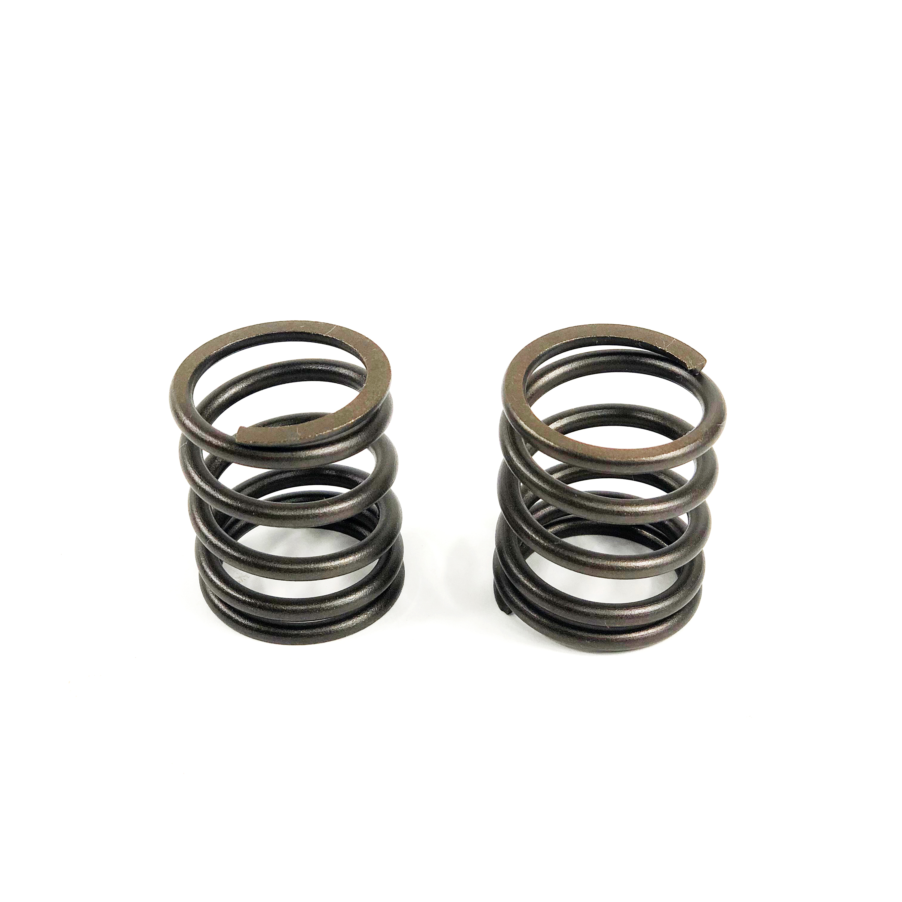 VALVE SPRING, OUTER 1000 SERIES