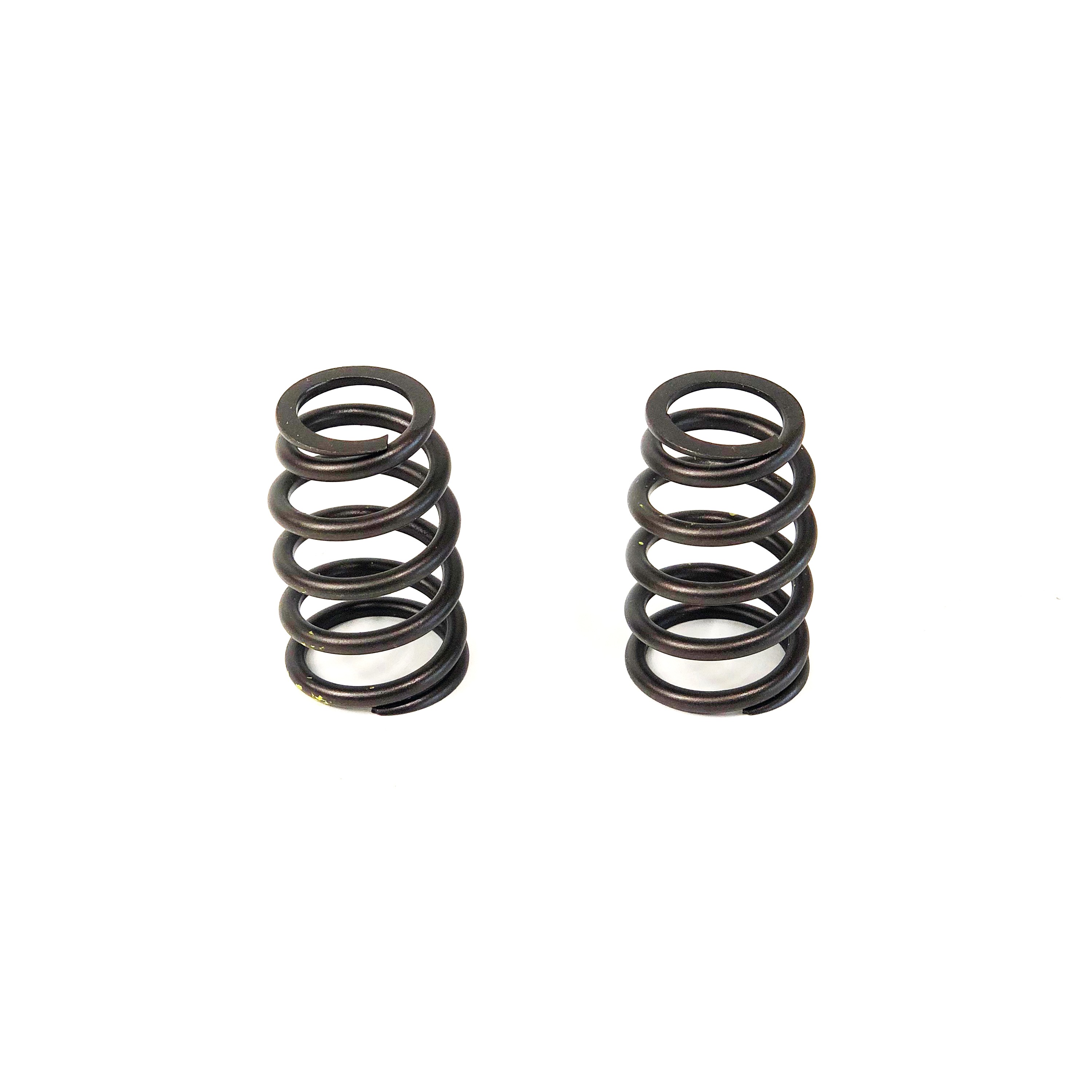 VALVE SPRING, 1100D SERIES
