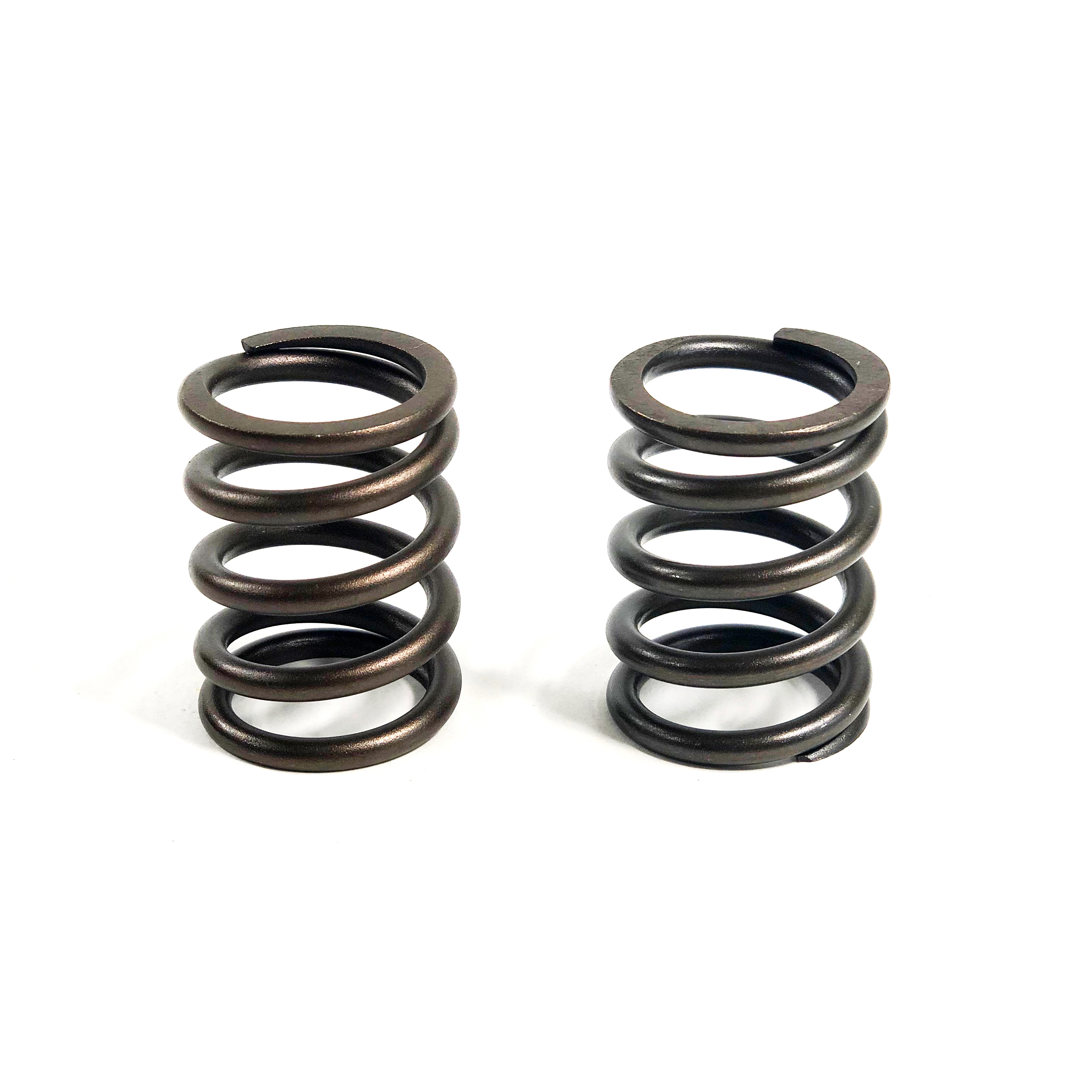 VALVE SPRING, 1000/1100 SERIES