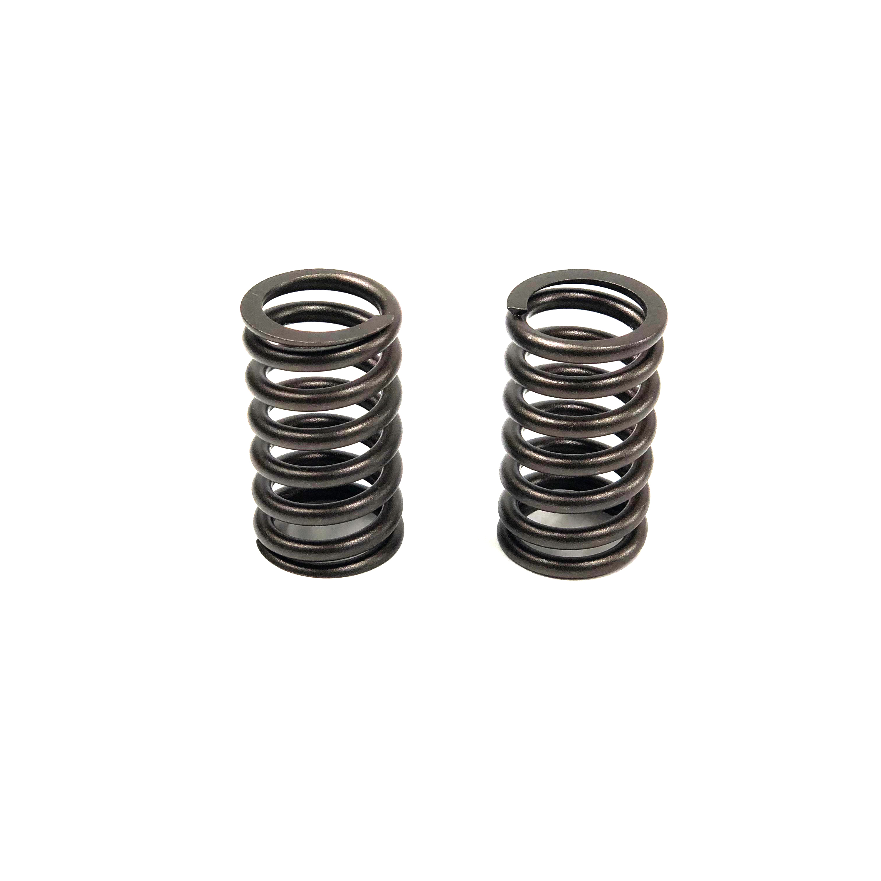 VALVE SPRING, 804C/D