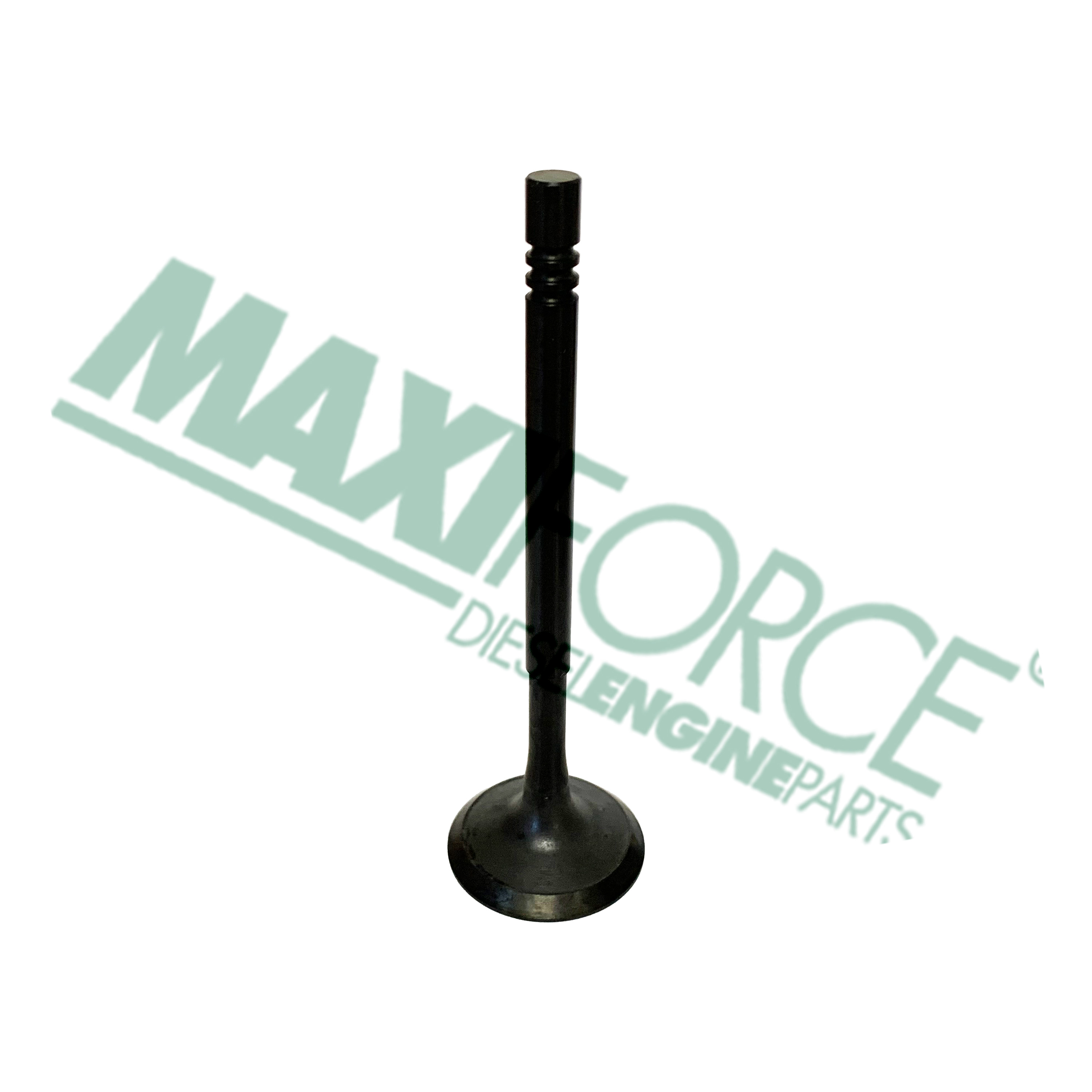 VALVE, EXHAUST, 1200 SERIES