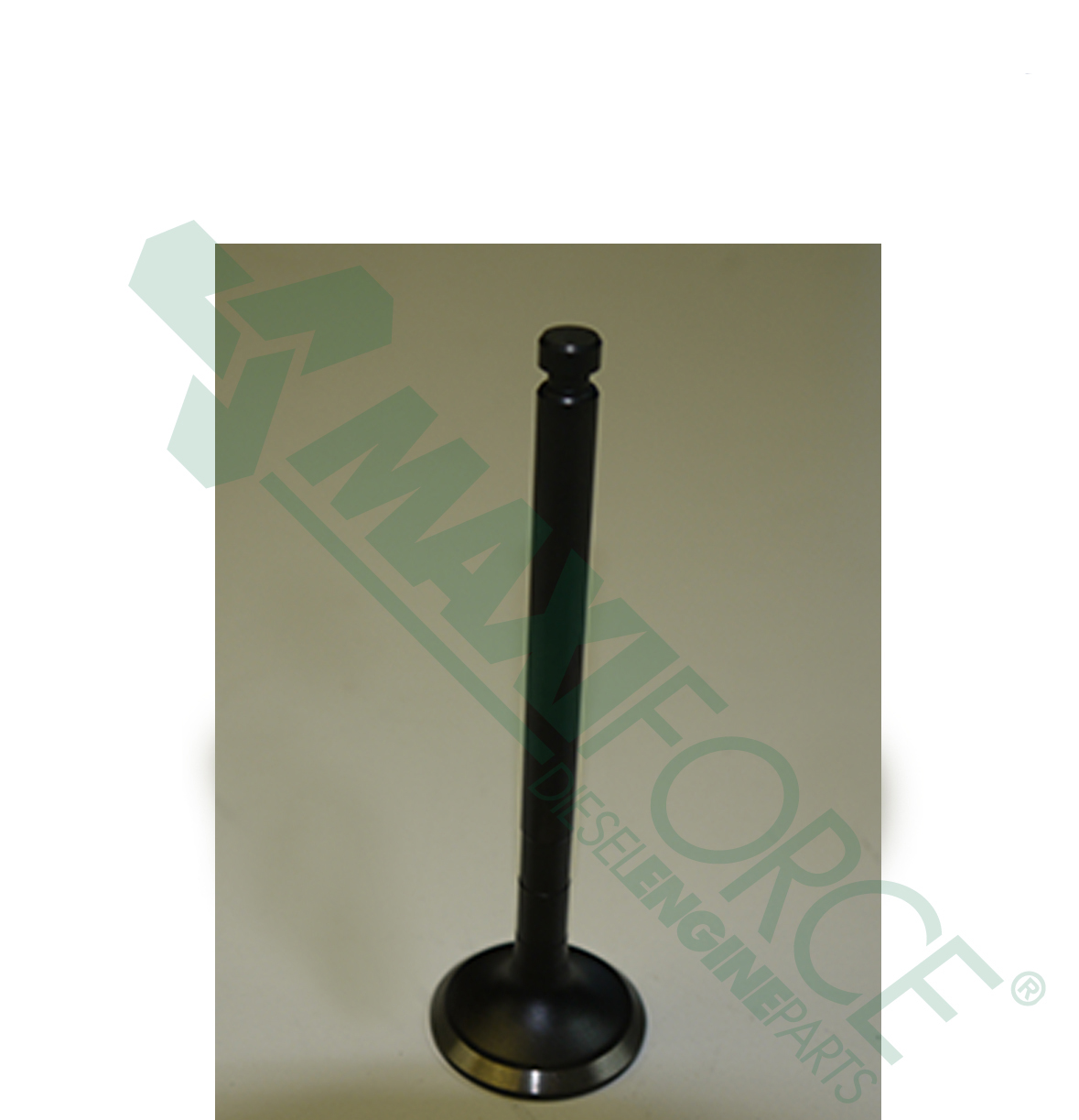 VALVE, INT, 4TNE98