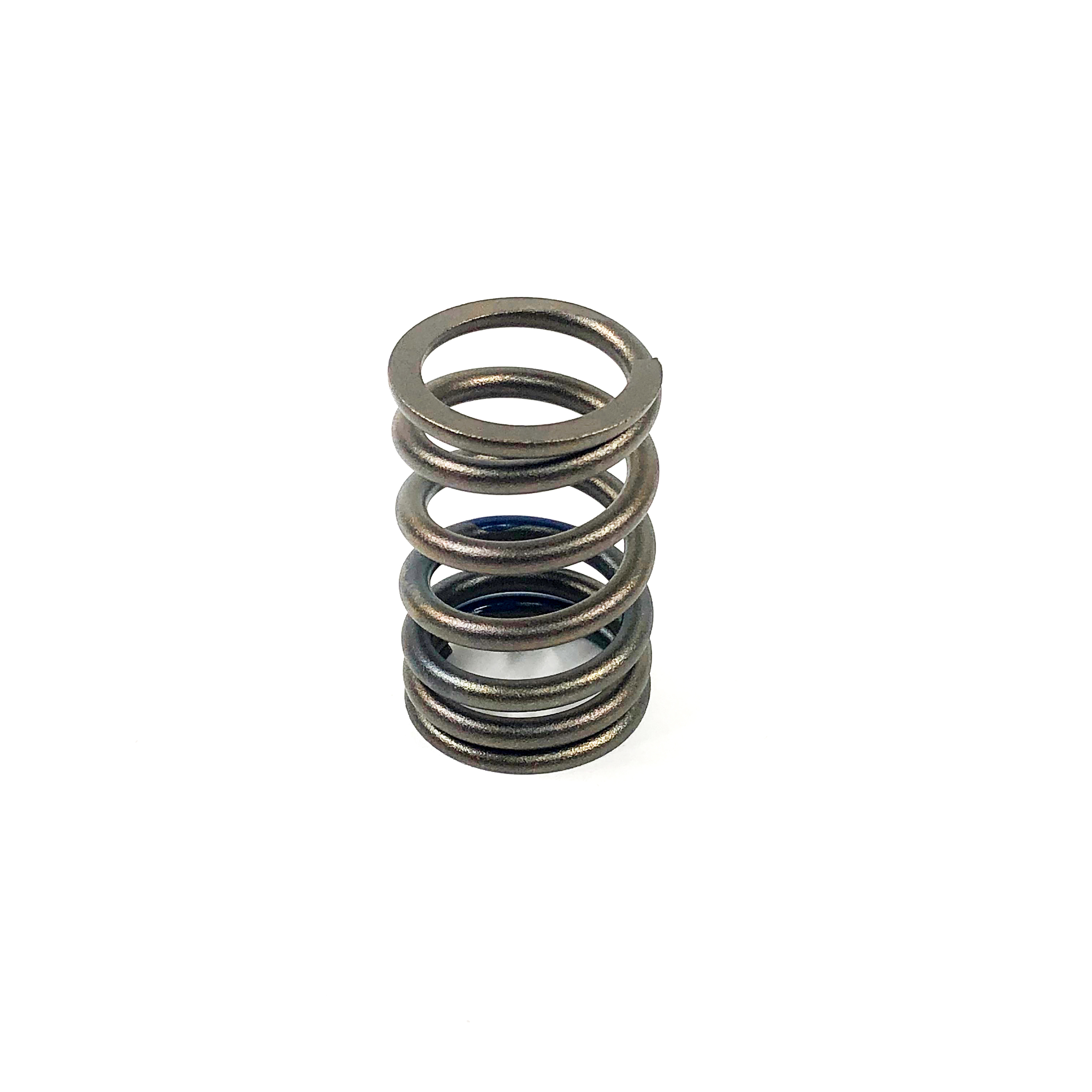 VALVE SPRING, 4TNE98
