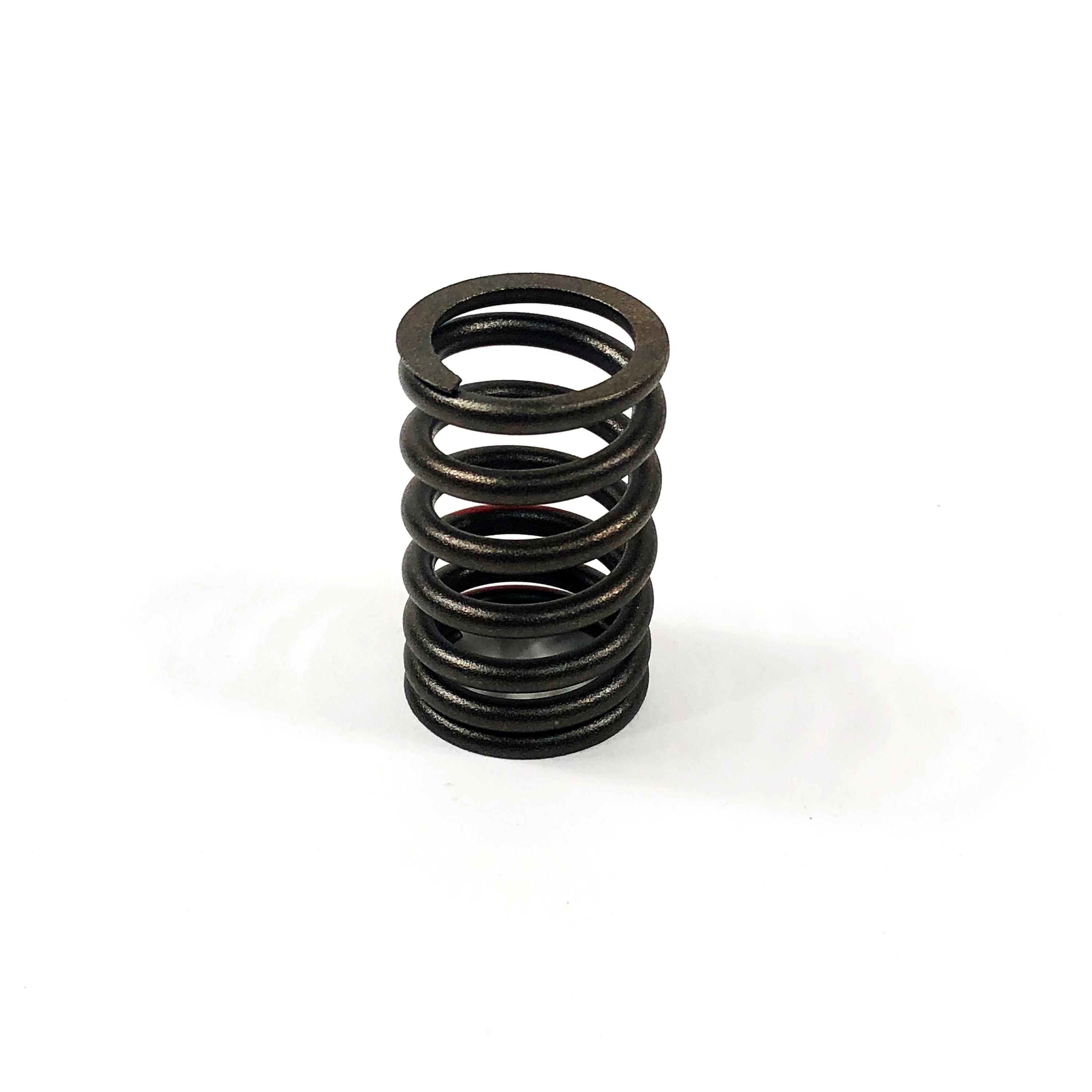 VALVE SPRING, 4TNV84T