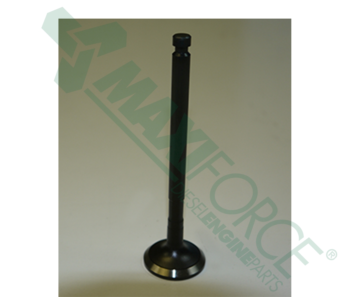 VALVE, INT TNV94/98