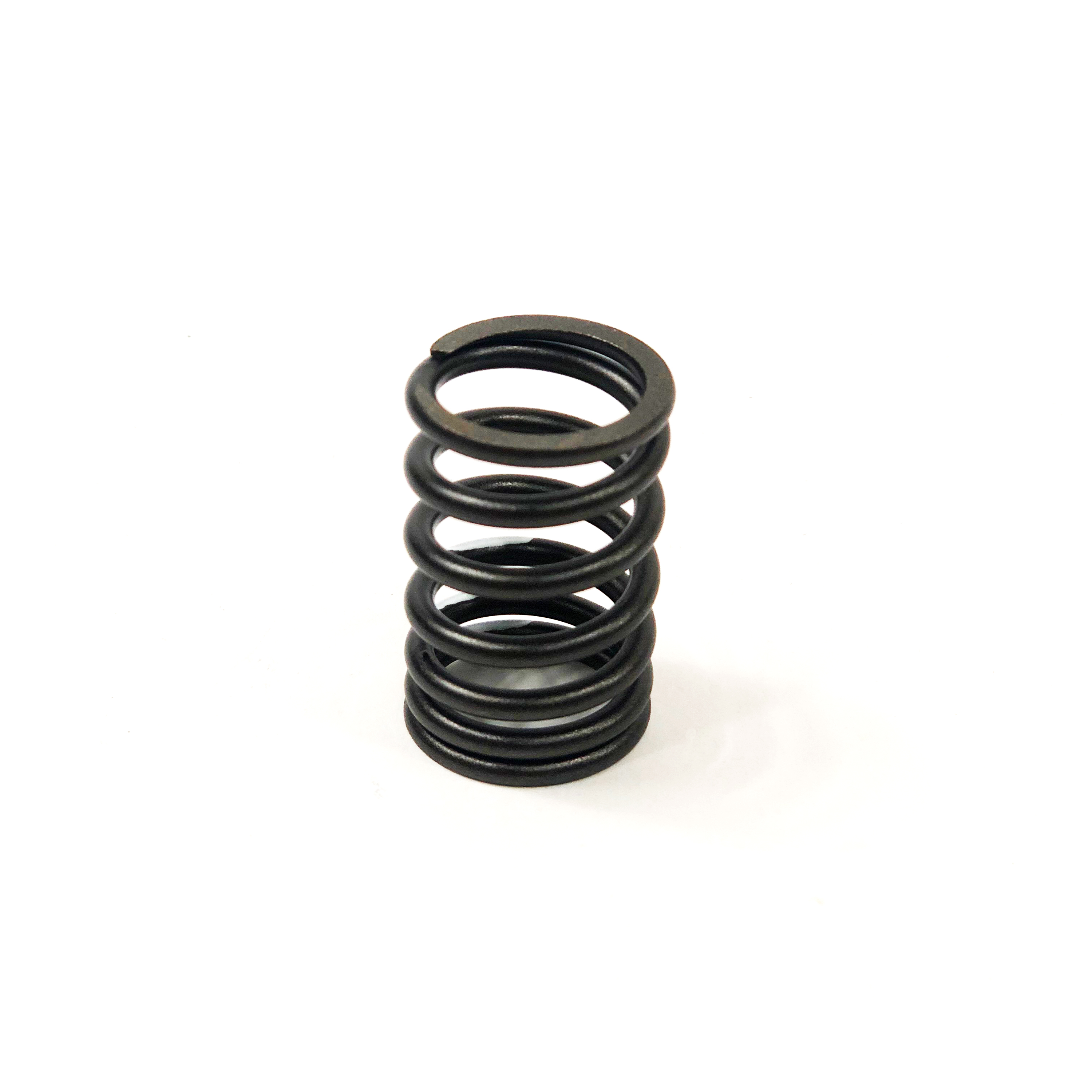 VALVE SPRING, 94/98 V