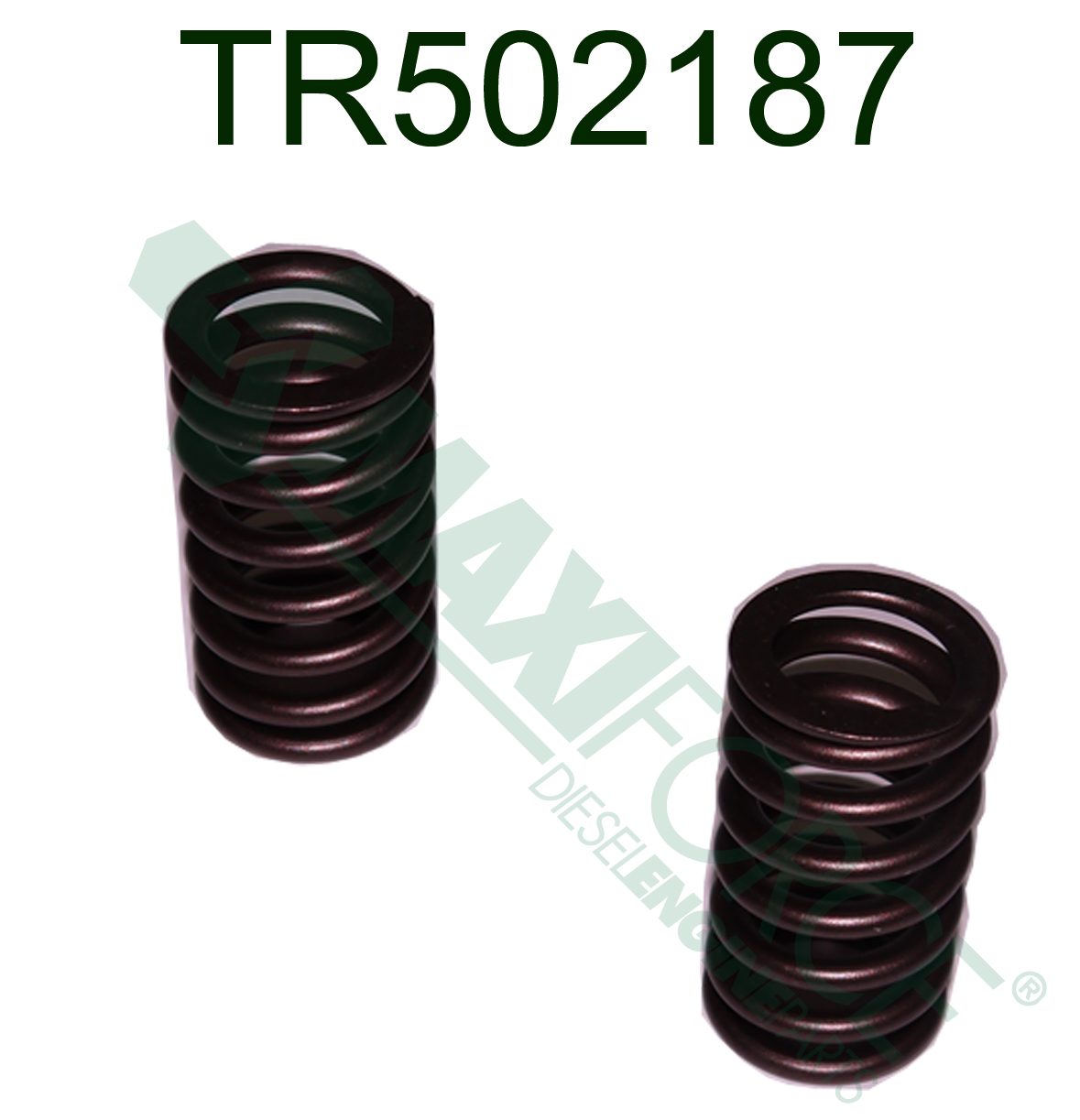VALVE SPRING, 8.1L LATE
