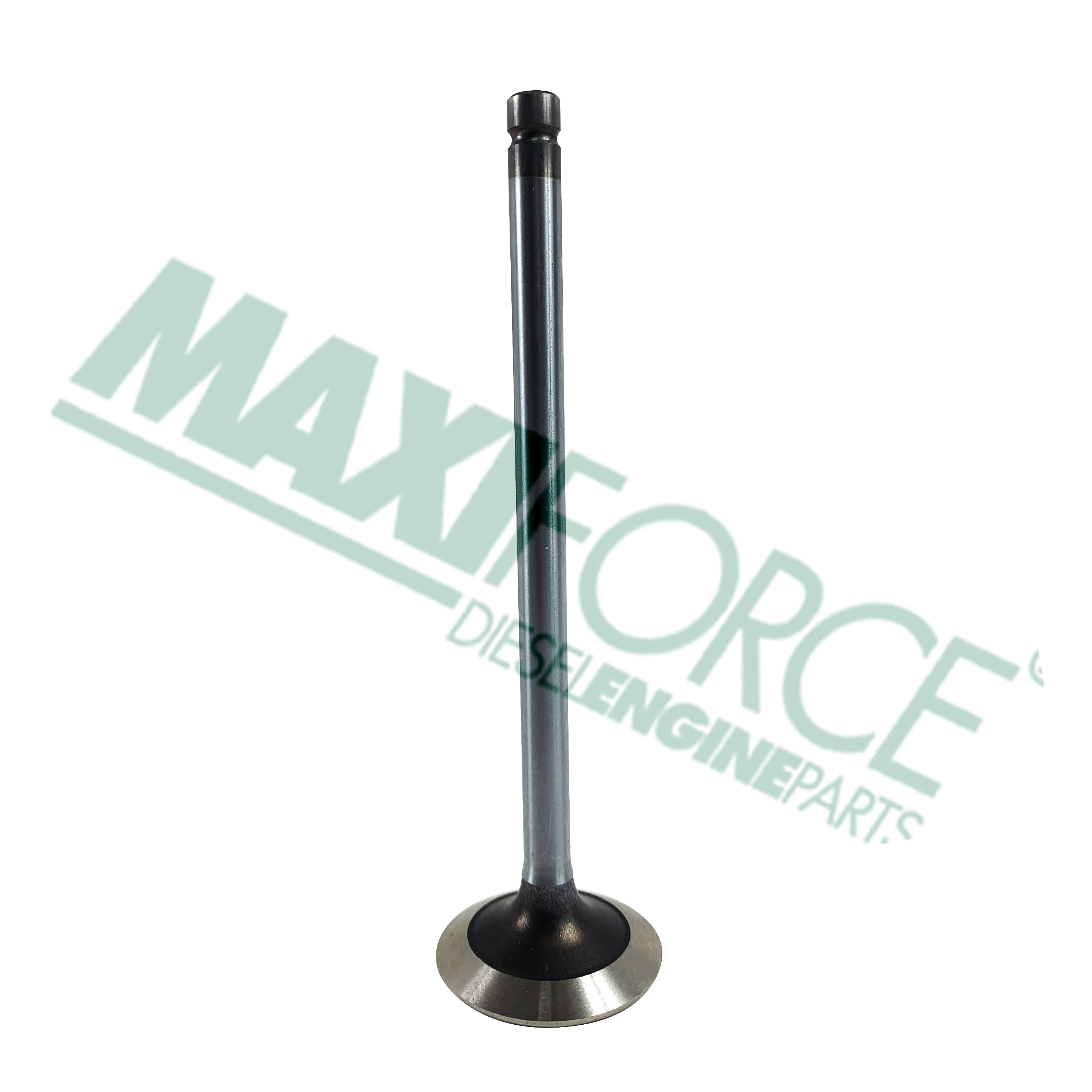 VALVE, INTAKE, 4024/5030