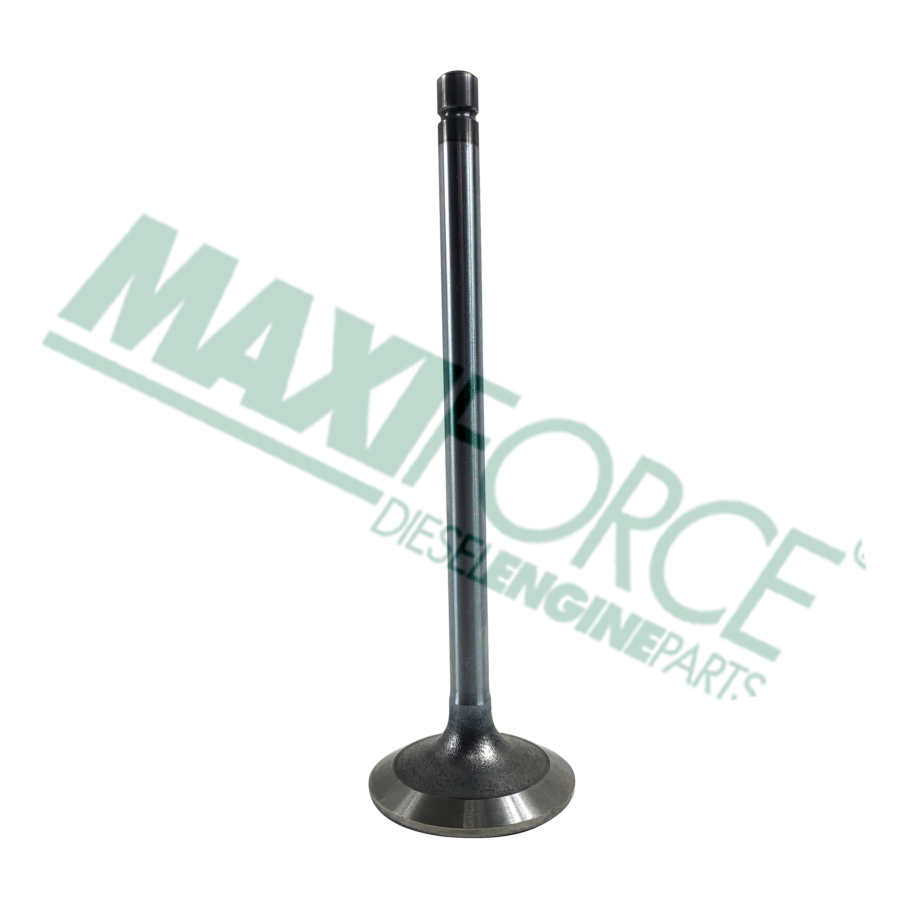 VALVE, EXHAUST, 4024/5030