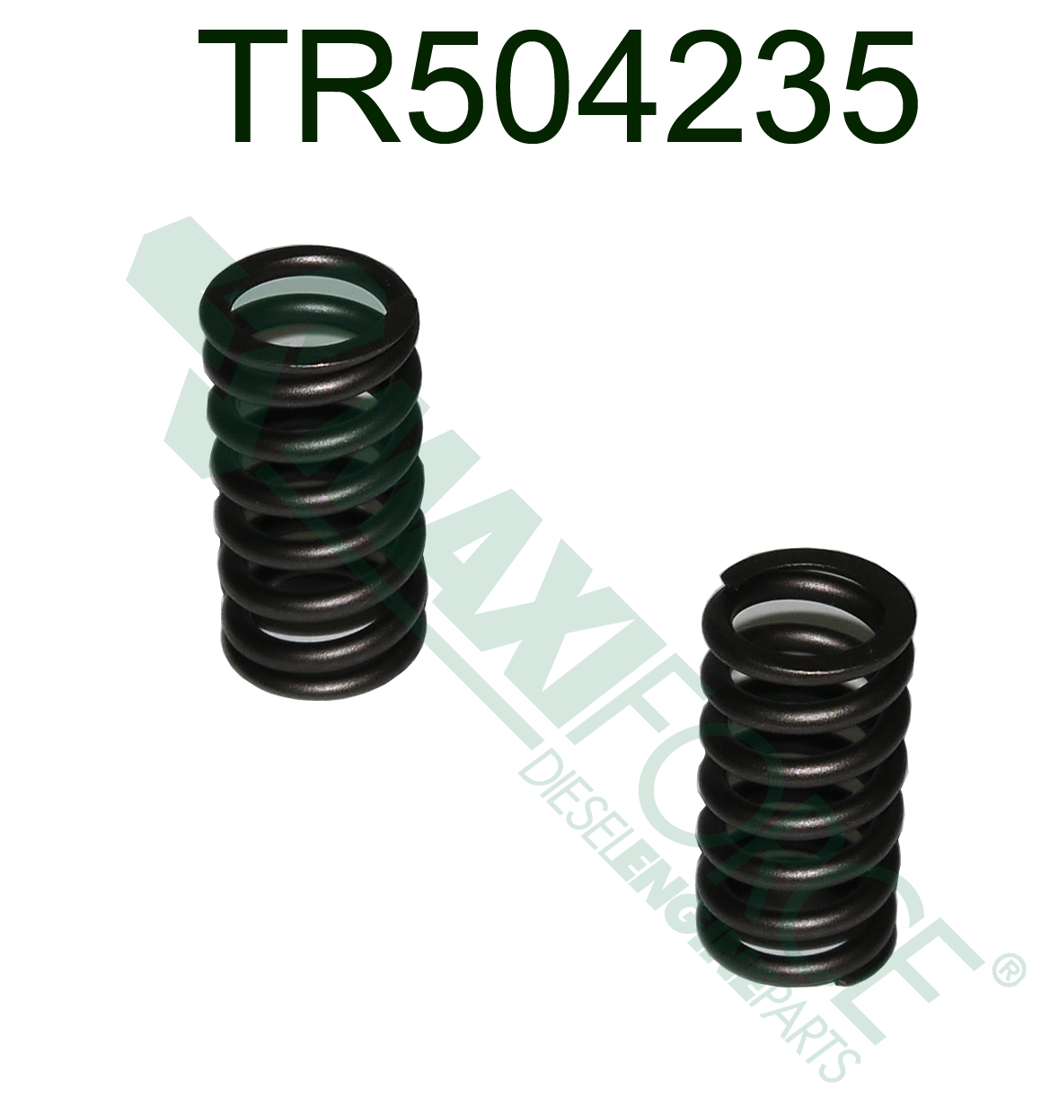 VALVE SPRING, 9.0