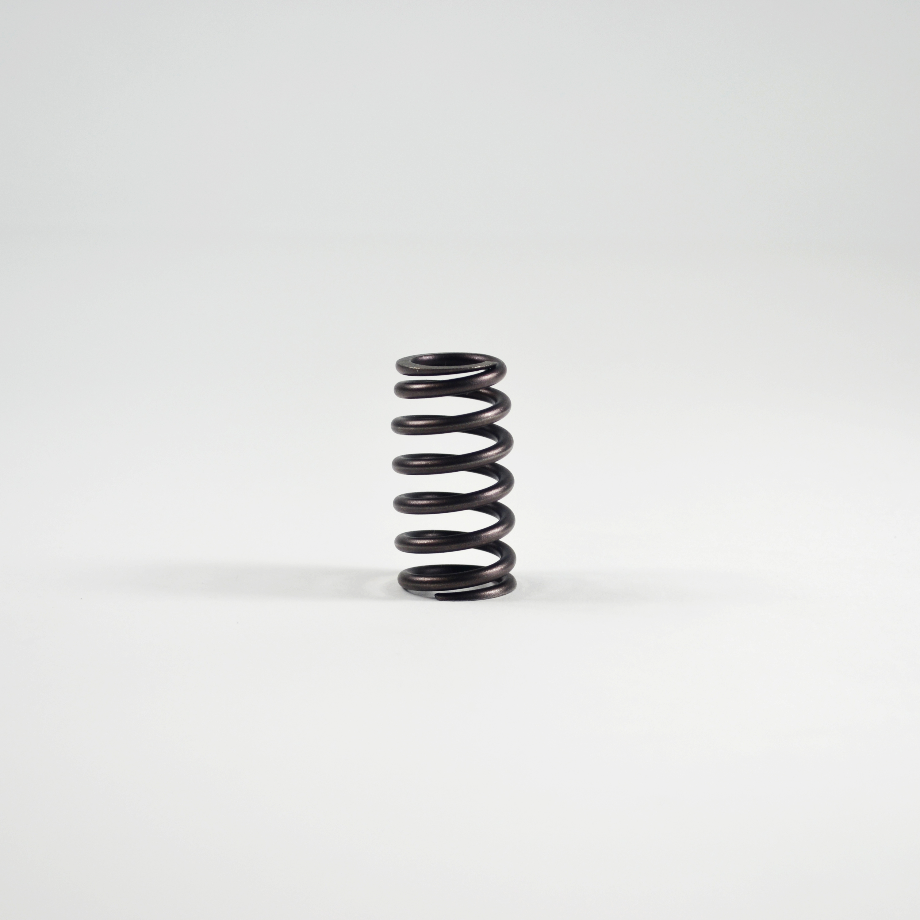VALVE SPRING, 4045 / 6068