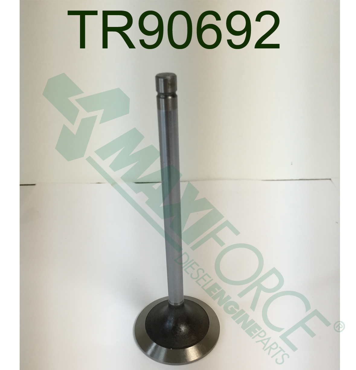 VALVE, EXHAUST STD 300 SERIES
