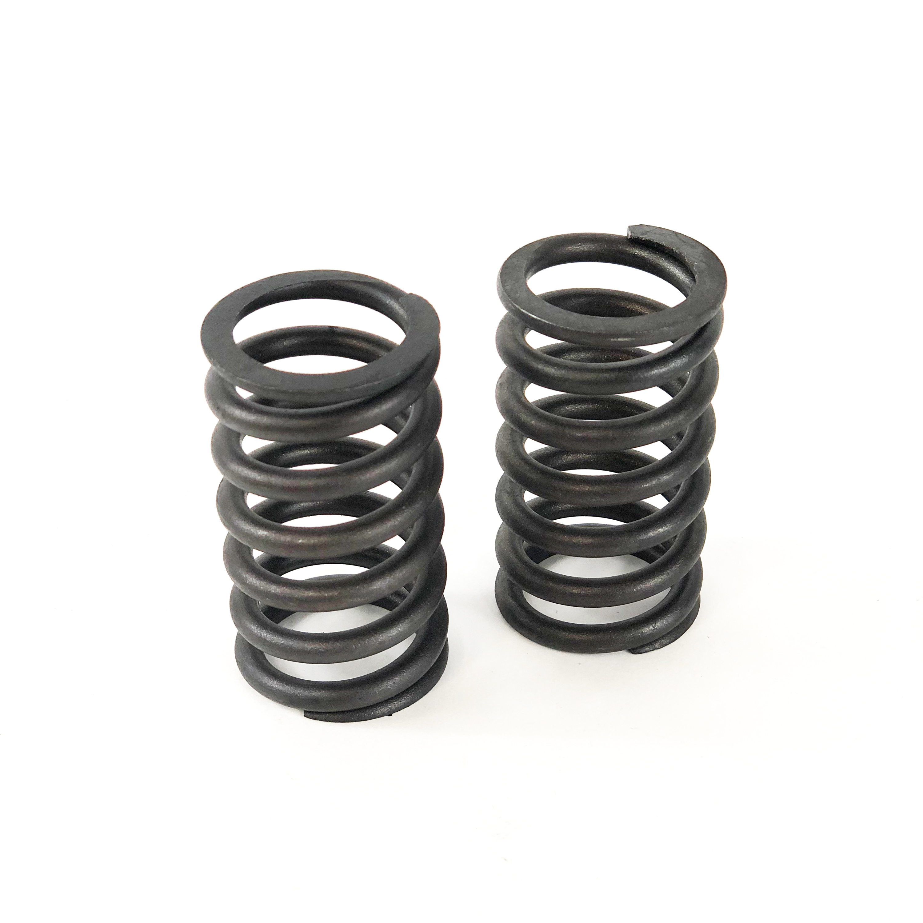 VALVE SPRING, 6076 / 6081