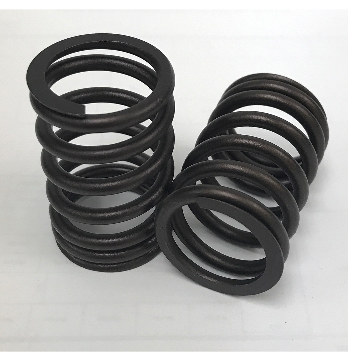 VALVE SPRING, TNV106
