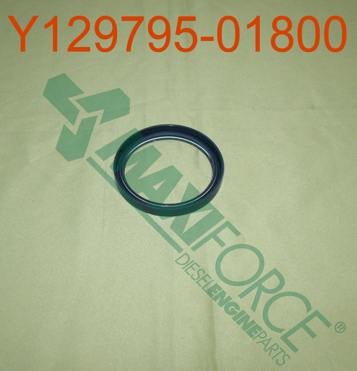 SEAL, FRONT CRANK 84/86/88