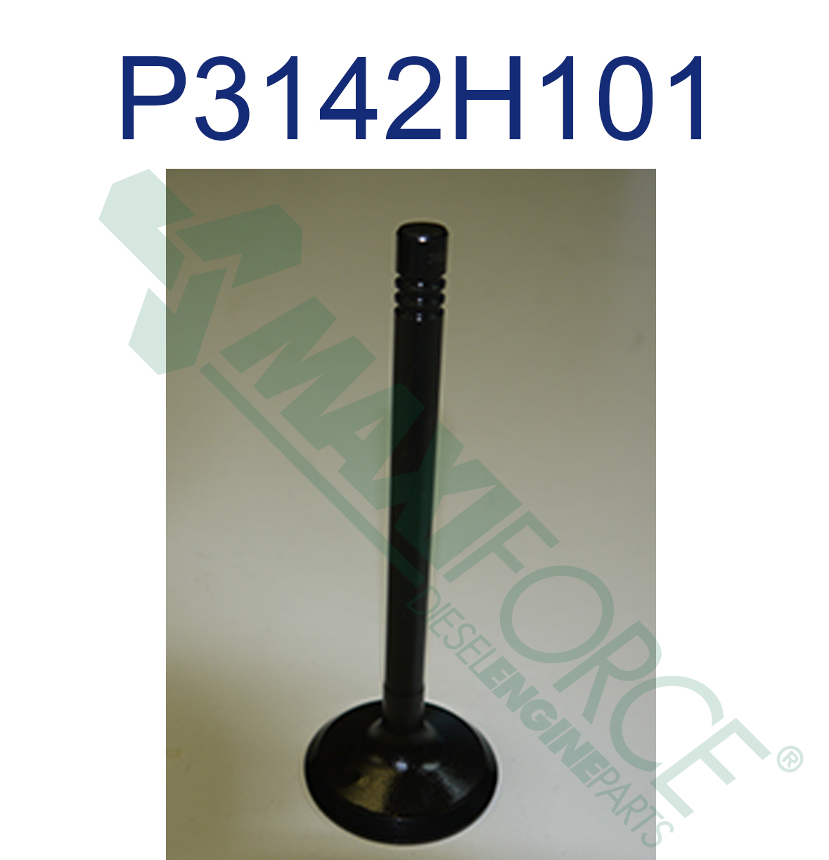 VALVE, INTAKE, 1100D Series