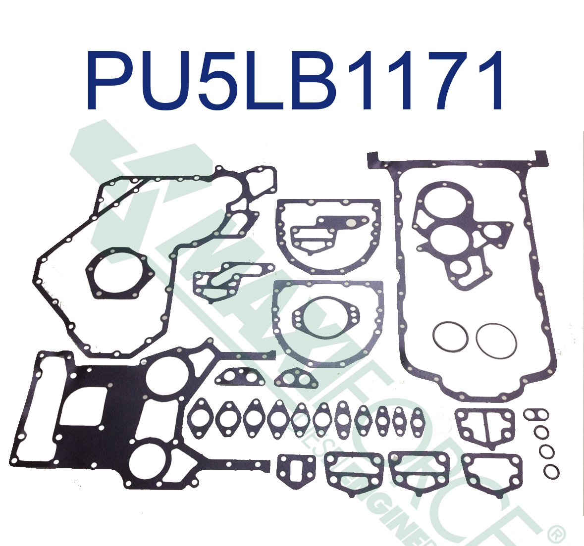 GASKET, BOTTOM SET 1004