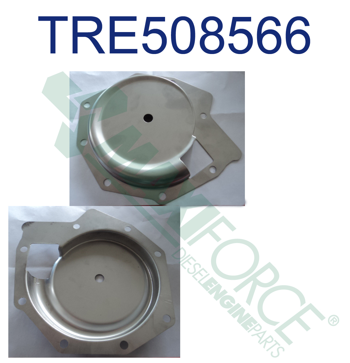 COVER, WATER PUMP P.T.