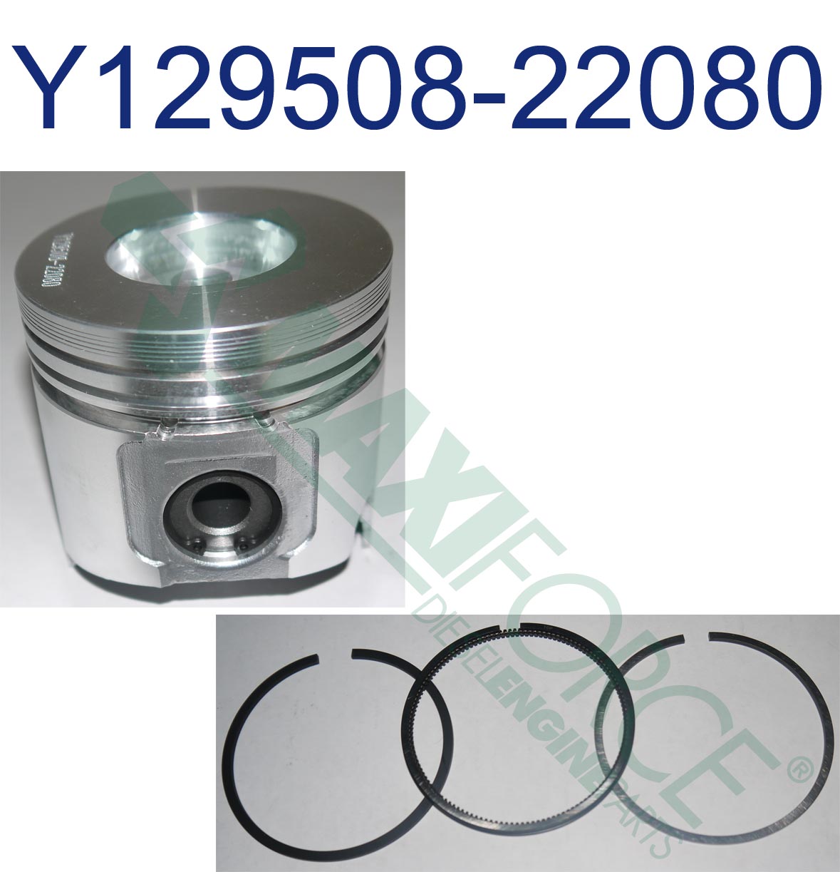 PISTON WITH RINGS, TNV84T, STD