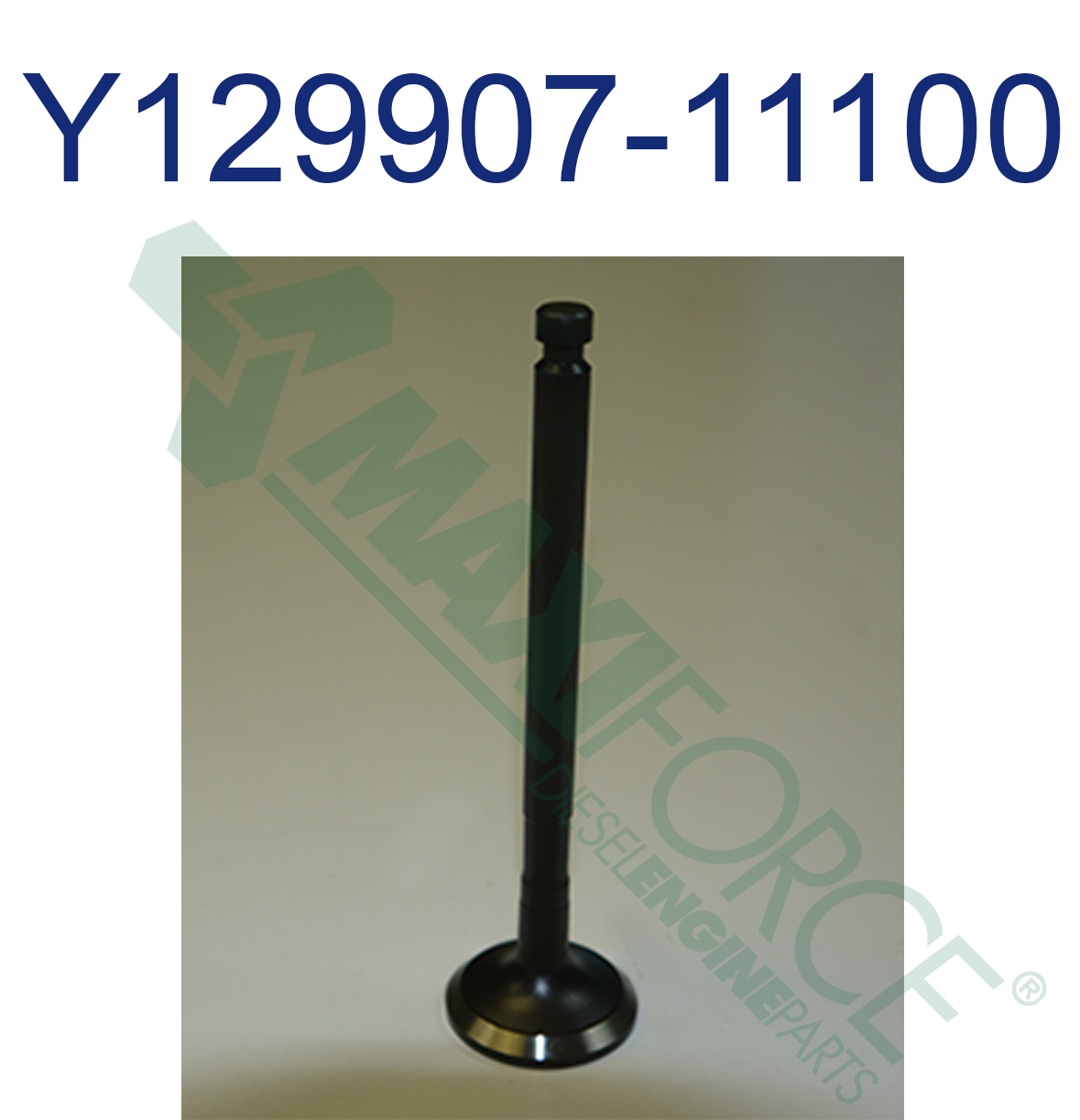 VALVE, INTAKE TNV94/98